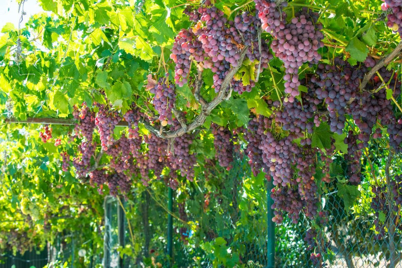 希拉自由镇Quinta Montebelo别墅 外观 照片